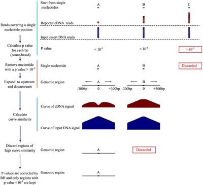 Integration of Count Difference and Curve Similarity in Negative Regulatory Element Detection